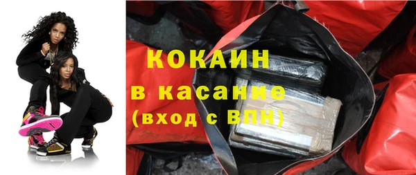 крисы Абаза