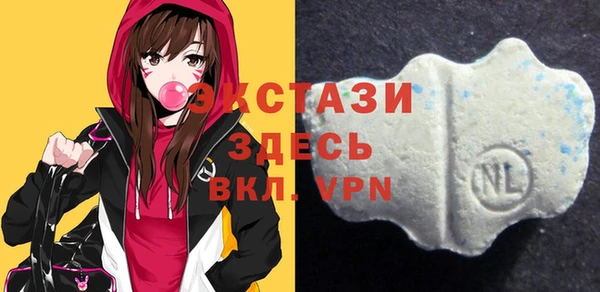 хмурый Алексин
