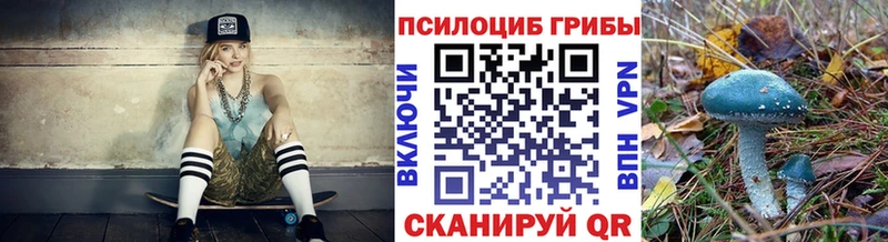 Галлюциногенные грибы прущие грибы shop Telegram Берёзовка